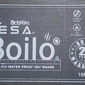 Action-Tesa Boilo