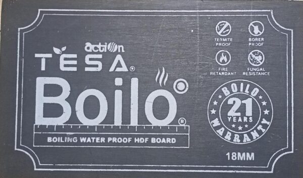 Action-Tesa Boilo