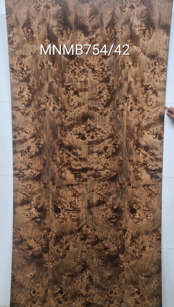 Veneer ( MNMB754/42 )