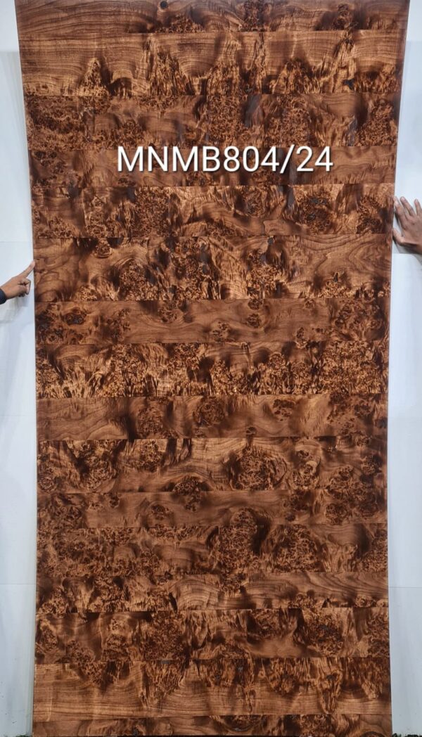Veneer ( MNMB804/24 )
