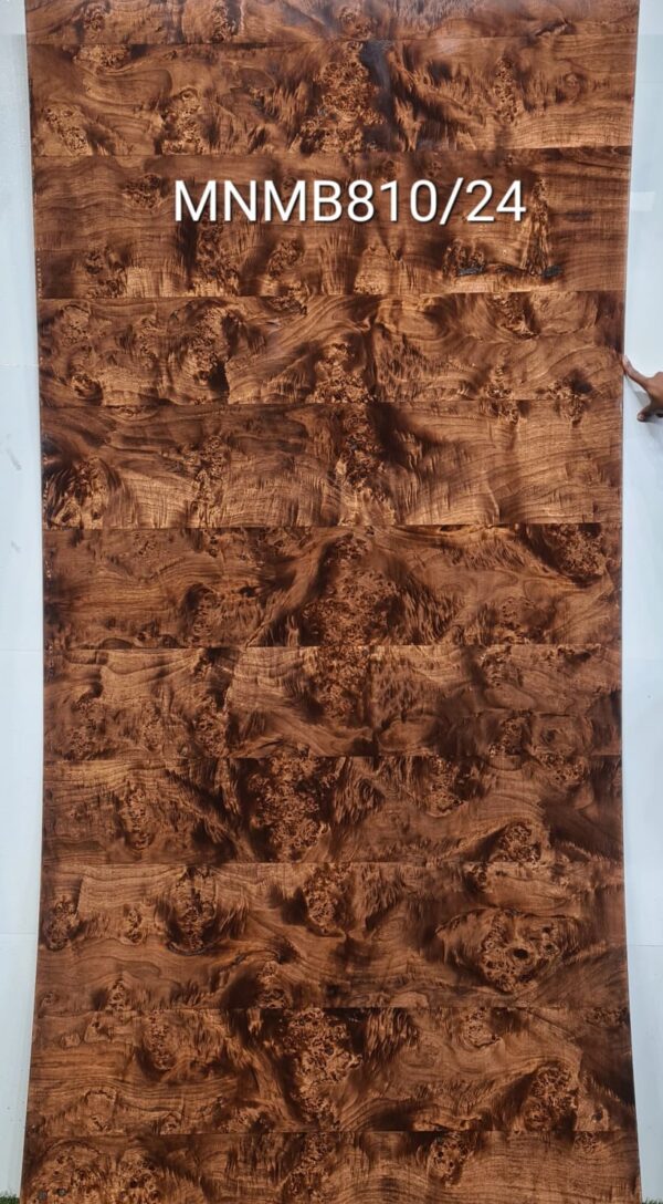 Veneer ( MNMB810/24 )
