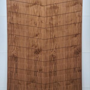 Exclusive-veneer-2